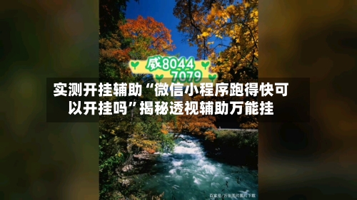 实测开挂辅助“微信小程序跑得快可以开挂吗”揭秘透视辅助万能挂-第3张图片