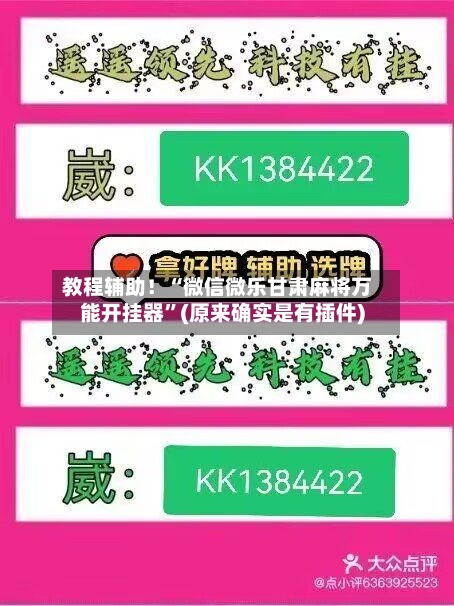 教程辅助！“微信微乐甘肃麻将万能开挂器”(原来确实是有插件)-第3张图片