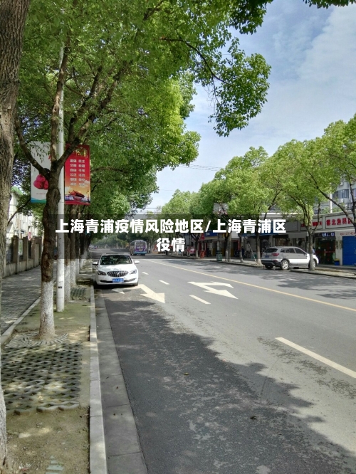 上海青浦疫情风险地区/上海青浦区役情