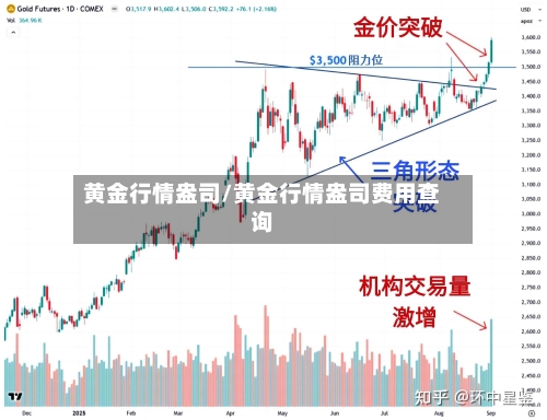 黄金行情盎司/黄金行情盎司费用查询