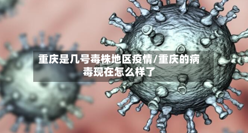 重庆是几号毒株地区疫情/重庆的病毒现在怎么样了-第3张图片