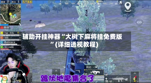 辅助开挂神器“大树下麻将挂免费版”(详细透视教程)-第3张图片