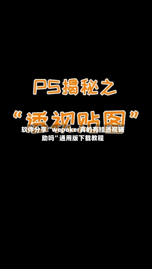 软件分享“wepoker真的有挂透视辅助吗	”通用版下载教程-第2张图片