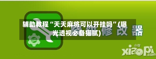 辅助教程“天天麻将可以开挂吗	”(曝光透视必备猫腻)-第2张图片