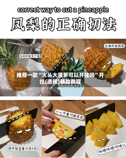 推荐一款“大头大菠萝可以开挂吗	”开挂(透视)辅助教程-第2张图片