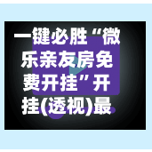 一键必胜“微乐亲友房免费开挂”开挂(透视)最新辅助详细-第3张图片