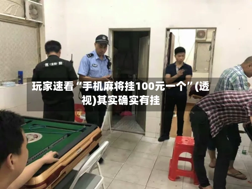 玩家速看“手机麻将挂100元一个	”(透视)其实确实有挂-第2张图片