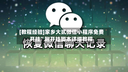 [教程经验]家乡大贰微信小程序免费开挂”附开挂脚本详细教程-第2张图片
