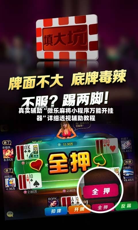 真实辅助“微乐麻将小程序万能开挂器”详细透视辅助教程-第2张图片