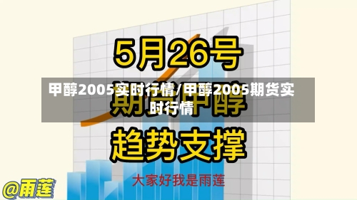 甲醇2005实时行情/甲醇2005期货实时行情-第2张图片