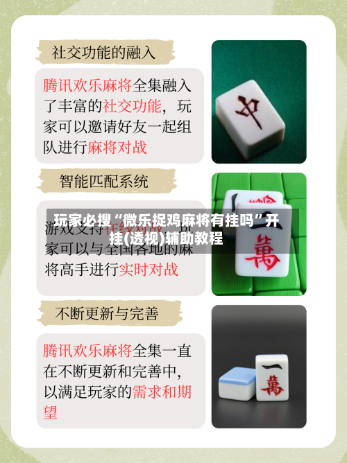 玩家必搜“微乐捉鸡麻将有挂吗”开挂(透视)辅助教程-第3张图片