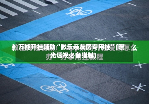 万能开挂辅助“微乐亲友房专用挂”(曝光透视必备猫腻)-第3张图片