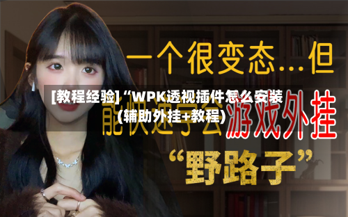 [教程经验]“WPK透视插件怎么安装(辅助外挂+教程)-第2张图片