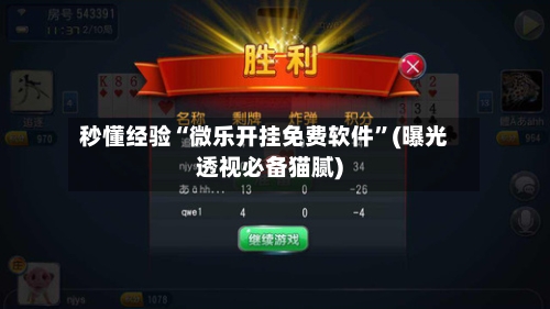 秒懂经验“微乐开挂免费软件	”(曝光透视必备猫腻)-第2张图片