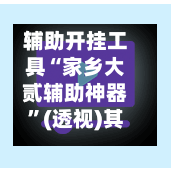 辅助开挂工具“家乡大贰辅助神器	”(透视)其实确实有挂-第2张图片