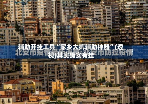 辅助开挂工具“家乡大贰辅助神器”(透视)其实确实有挂-第3张图片