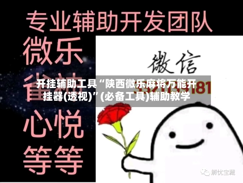 开挂辅助工具“陕西微乐麻将万能开挂器(透视)”(必备工具)辅助教学-第2张图片