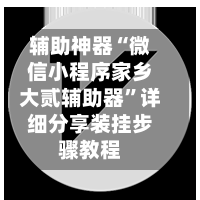 辅助神器“微信小程序家乡大贰辅助器”详细分享装挂步骤教程