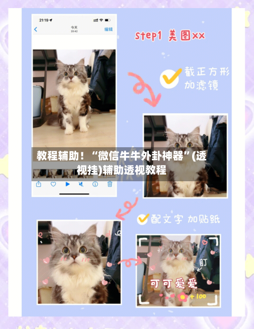 教程辅助！“微信牛牛外卦神器”(透视挂)辅助透视教程-第2张图片