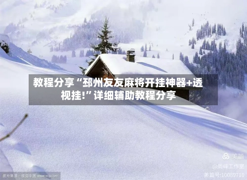 教程分享“邳州友友麻将开挂神器+透视挂!”详细辅助教程分享-第2张图片
