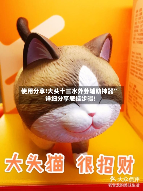 使用分享!大头十三水外卦辅助神器	”详细分享装挂步骤!-第2张图片