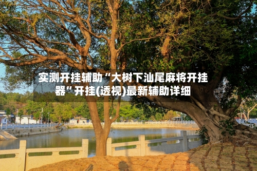 实测开挂辅助“大树下汕尾麻将开挂器”开挂(透视)最新辅助详细-第3张图片