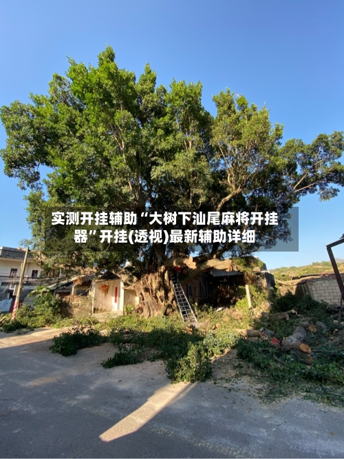 实测开挂辅助“大树下汕尾麻将开挂器	”开挂(透视)最新辅助详细-第2张图片