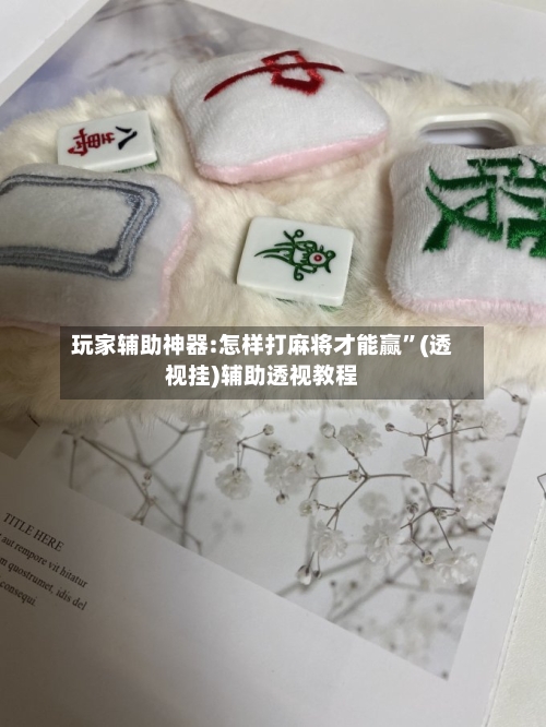 玩家辅助神器:怎样打麻将才能赢”(透视挂)辅助透视教程-第3张图片