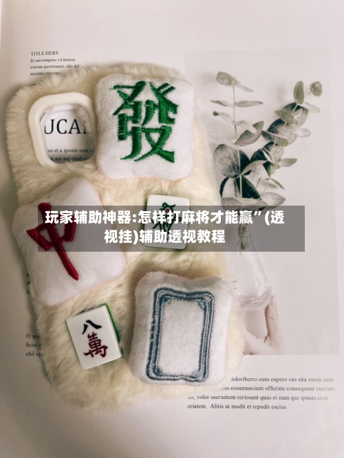 玩家辅助神器:怎样打麻将才能赢”(透视挂)辅助透视教程