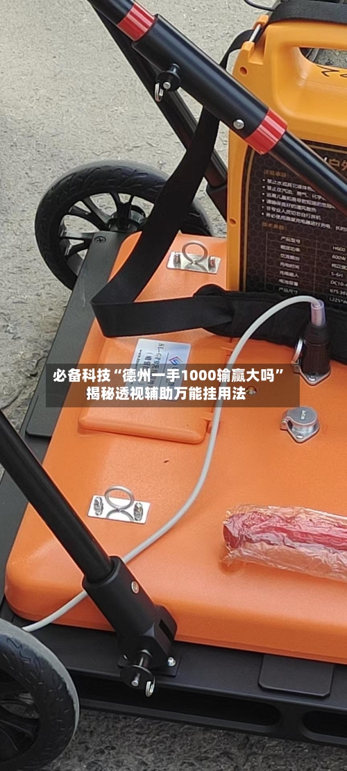 必备科技“德州一手1000输赢大吗”揭秘透视辅助万能挂用法-第2张图片