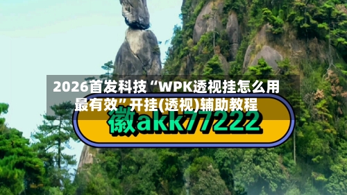 2026首发科技“WPK透视挂怎么用最有效”开挂(透视)辅助教程-第2张图片