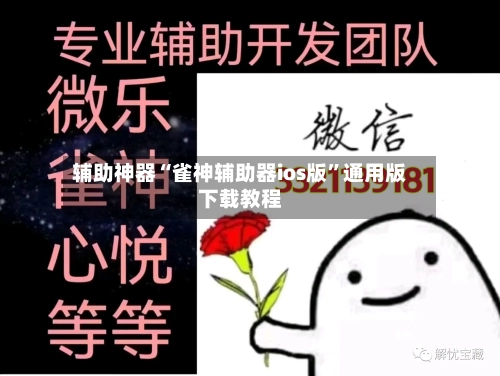 辅助神器“雀神辅助器ios版”通用版下载教程-第3张图片