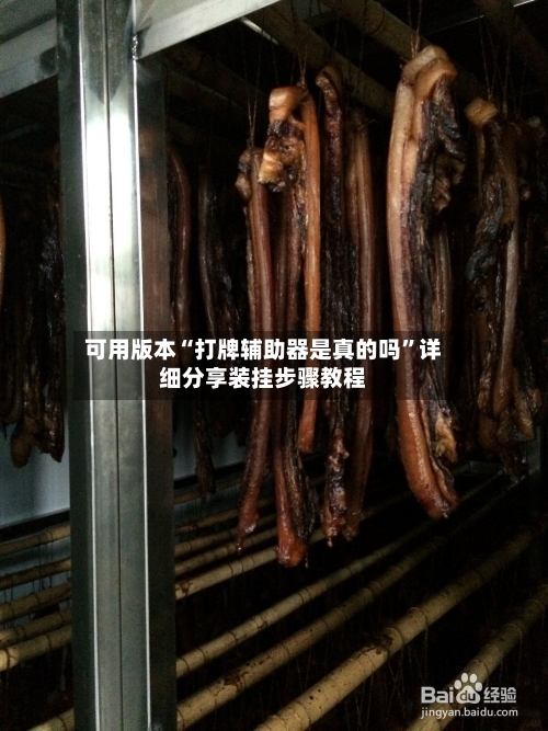 可用版本“打牌辅助器是真的吗”详细分享装挂步骤教程-第3张图片