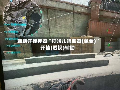 辅助开挂神器“打哈儿辅助器(免费)”开挂(透视)辅助