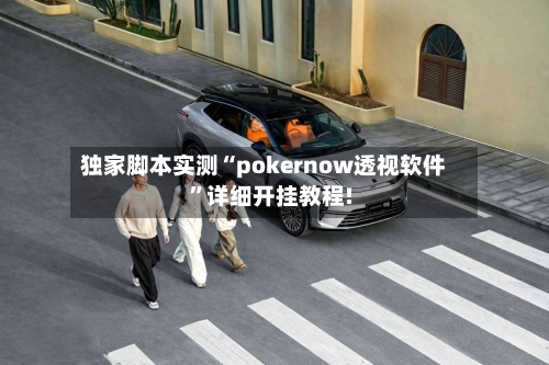 独家脚本实测“pokernow透视软件”详细开挂教程!-第2张图片