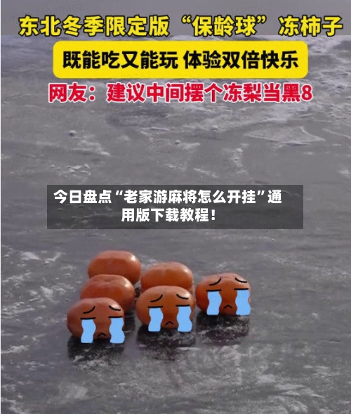 今日盘点“老家游麻将怎么开挂”通用版下载教程！-第2张图片