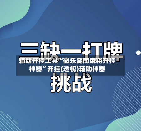 辅助开挂工具“微乐湖南麻将开挂神器	”开挂(透视)辅助神器-第2张图片