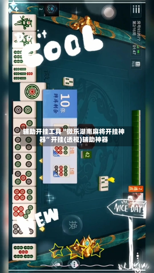 辅助开挂工具“微乐湖南麻将开挂神器”开挂(透视)辅助神器-第3张图片