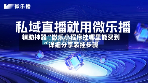 辅助神器“微乐小程序挂哪里能买到”详细分享装挂步骤