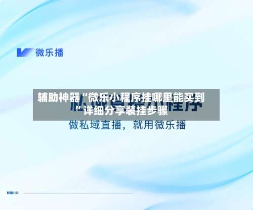 辅助神器“微乐小程序挂哪里能买到	”详细分享装挂步骤-第2张图片