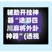 辅助开挂神器“途游四川麻将外卦神器”(透视)其实确实有挂-第2张图片