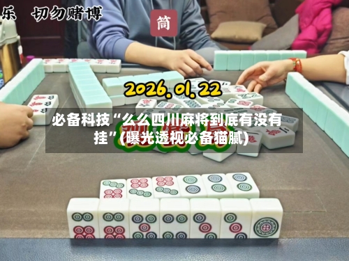 必备科技“么么四川麻将到底有没有挂”(曝光透视必备猫腻)-第2张图片