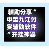 辅助分享“中至九江讨赏辅助软件”开挂神器{透视辅助}全揭秘-第3张图片