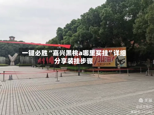 一键必胜“嘉兴黑桃a哪里买挂”详细分享装挂步骤-第2张图片