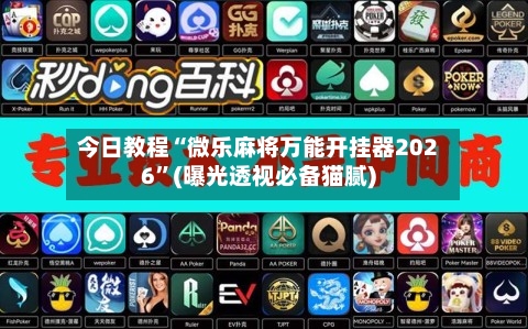 今日教程“微乐麻将万能开挂器2026”(曝光透视必备猫腻)-第3张图片