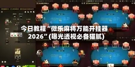 今日教程“微乐麻将万能开挂器2026”(曝光透视必备猫腻)-第2张图片