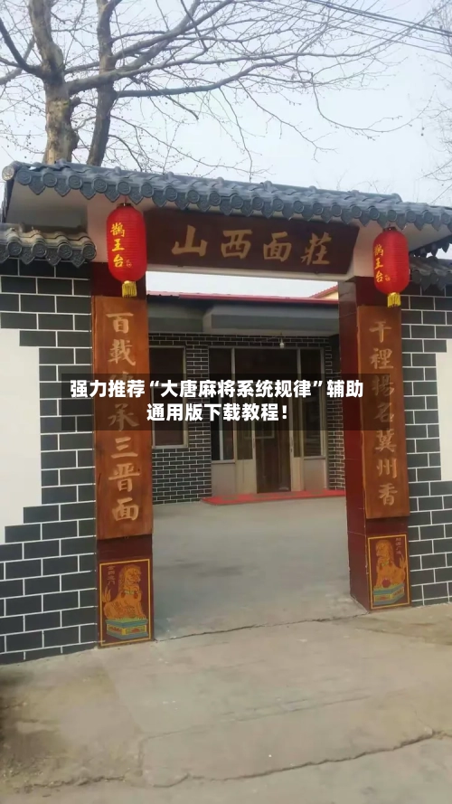 强力推荐“大唐麻将系统规律	”辅助通用版下载教程！-第3张图片