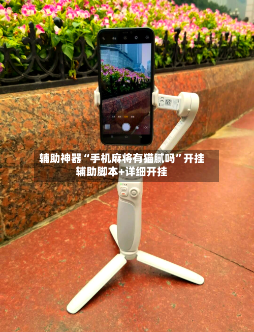 辅助神器“手机麻将有猫腻吗”开挂辅助脚本+详细开挂