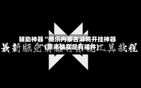 辅助神器“微乐内蒙古麻将开挂神器”(原来确实是有插件)-第2张图片