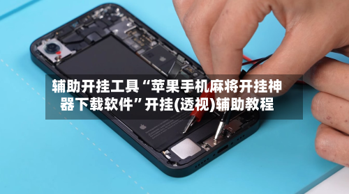 辅助开挂工具“苹果手机麻将开挂神器下载软件”开挂(透视)辅助教程-第3张图片